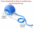 Mizusu Interactive Cat & Dog Teaser Toy with Two Additional Tails, Kitten Rolling Ball Toy, Pet Supplies, Dog & Cat Accessories Cute dog toys