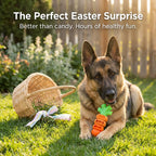 Apasiri Aggressive Chewer Dog Toys, Durable Carrot Leaf Design for Teeth Cleaning & Mental Stimulation